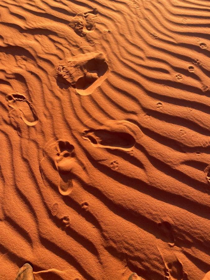 Wadi Rum Silk Road Camp 외부 사진