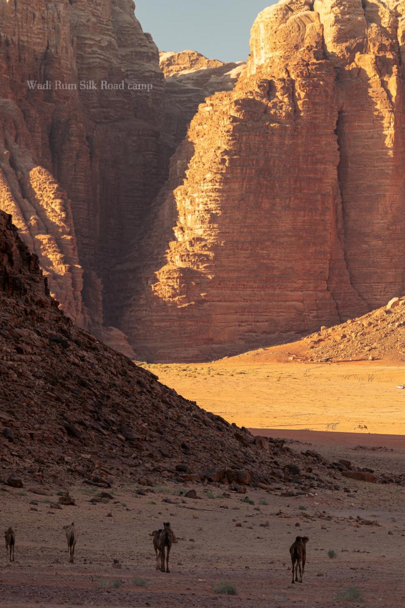 Wadi Rum Silk Road Camp 외부 사진
