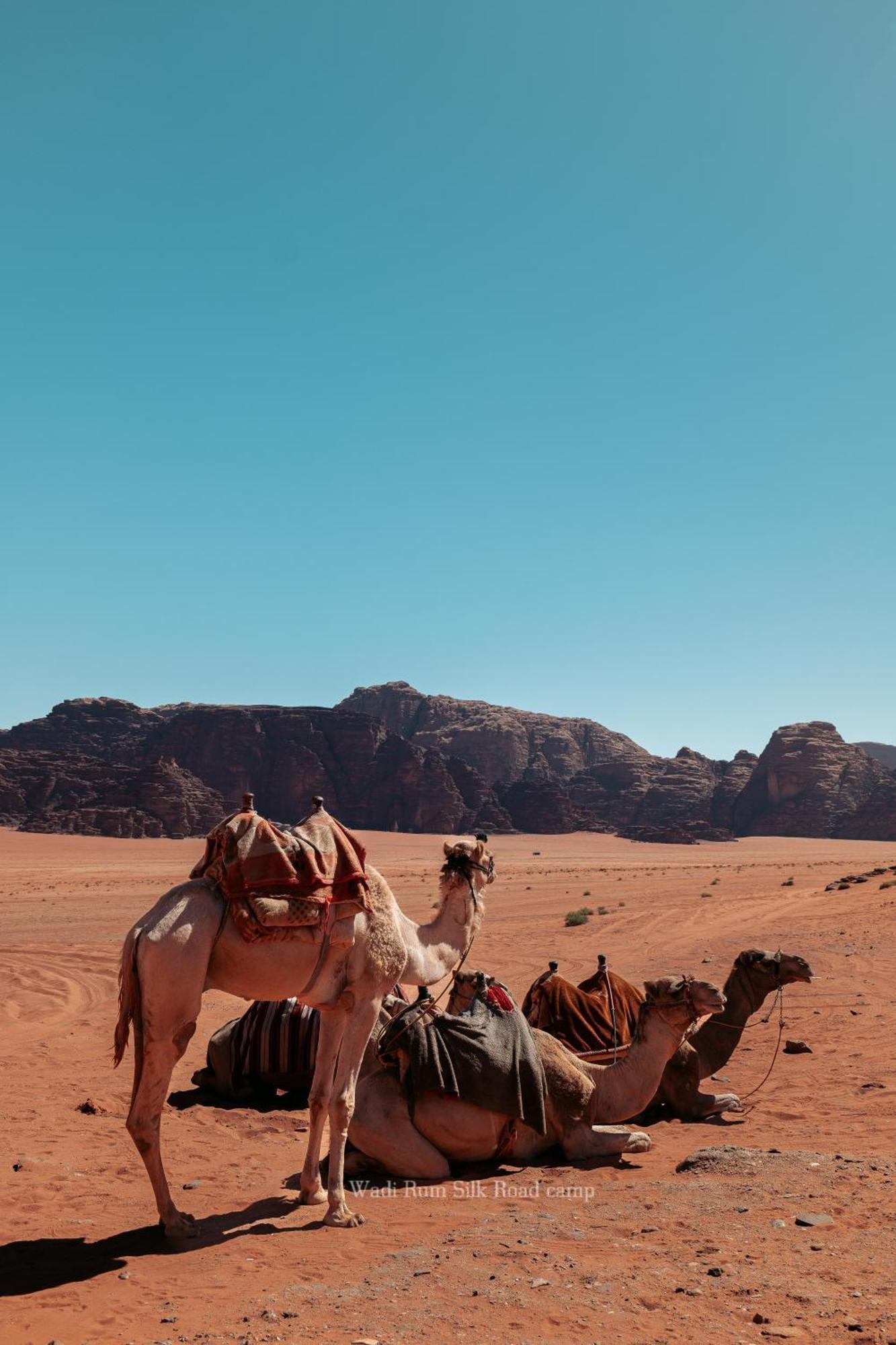 Wadi Rum Silk Road Camp 외부 사진